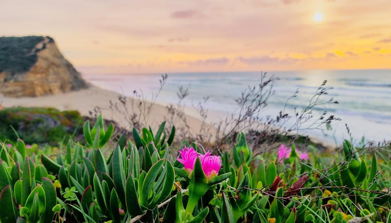 מלון Carvoeira Tika Surf Camp Ericeira מראה חיצוני תמונה
